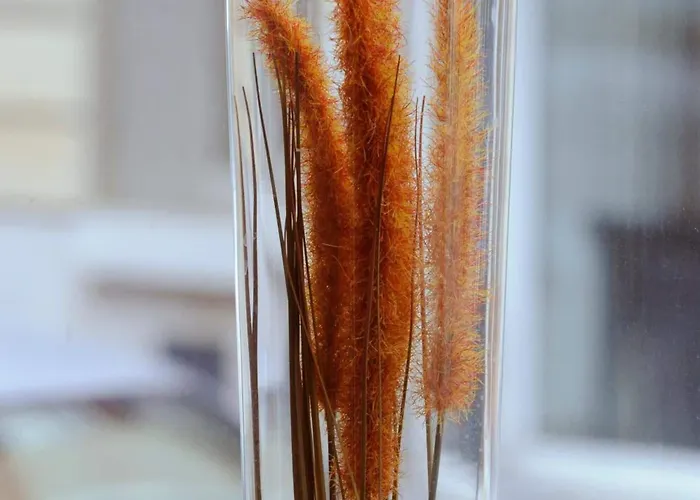 Printania Porte De Versailles Hotel Paříž